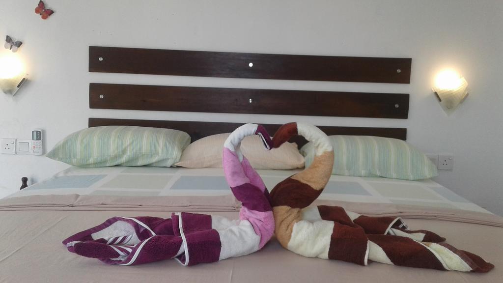 Petit Guest House Negombo Ngoại thất bức ảnh